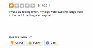 Illustration for article titled 'Large Blood Stain on Carpet:' The Bleakest Motel Reviews on Yelp